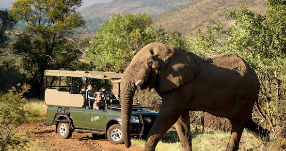 Affordable Sun City Family Holiday Package